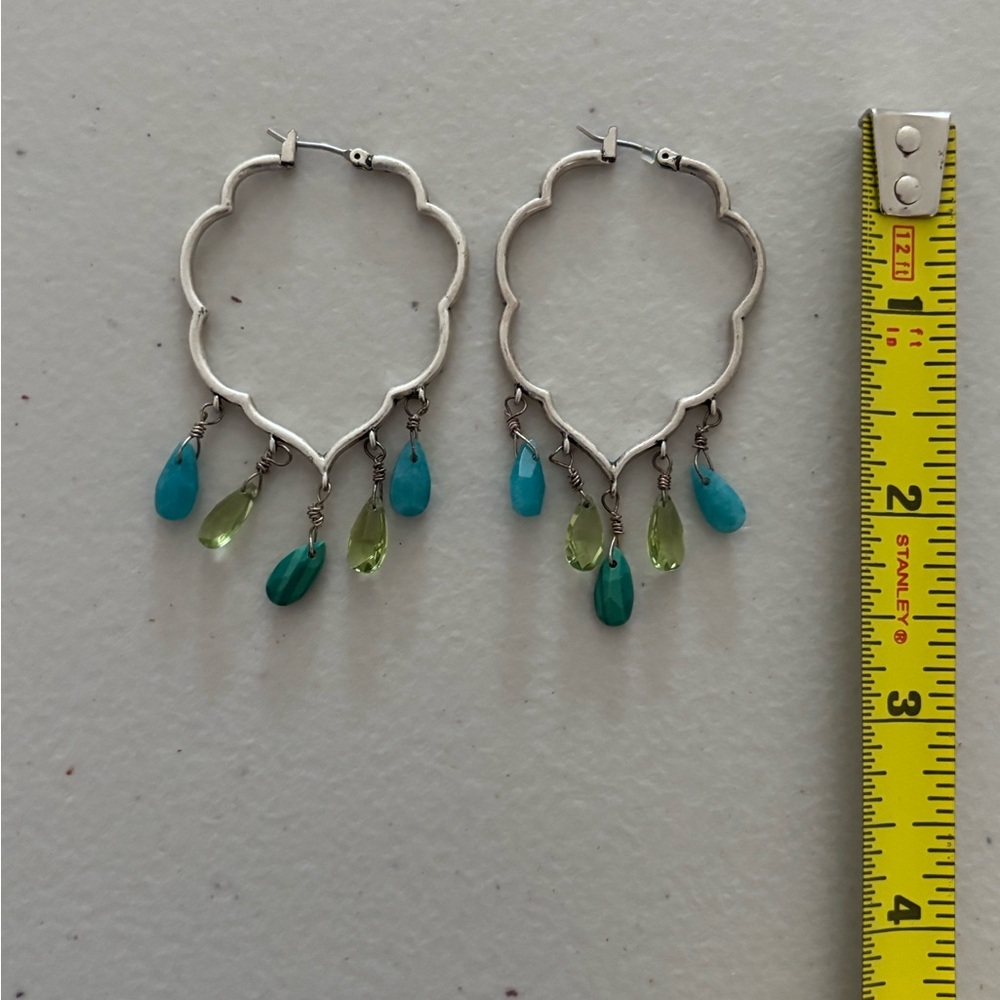 Fossil Dangle Silver Earrings